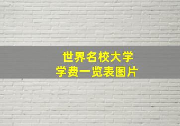 世界名校大学学费一览表图片