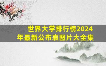 世界大学排行榜2024年最新公布表图片大全集