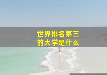 世界排名第三的大学是什么