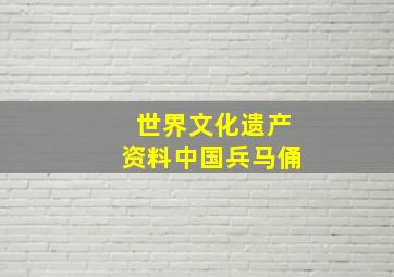 世界文化遗产资料中国兵马俑