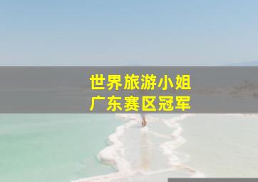 世界旅游小姐广东赛区冠军