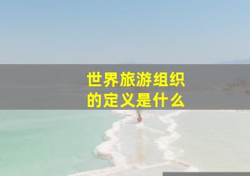 世界旅游组织的定义是什么