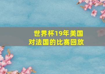 世界杯19年美国对法国的比赛回放