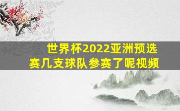 世界杯2022亚洲预选赛几支球队参赛了呢视频