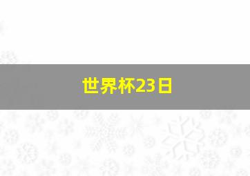 世界杯23日