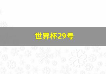 世界杯29号