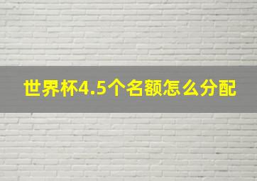 世界杯4.5个名额怎么分配