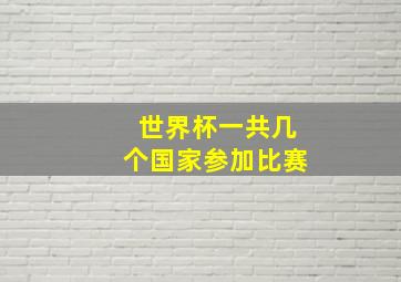 世界杯一共几个国家参加比赛