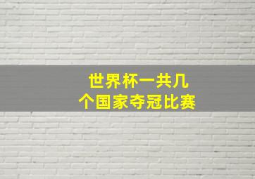 世界杯一共几个国家夺冠比赛