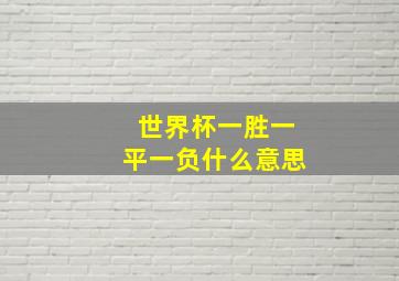 世界杯一胜一平一负什么意思