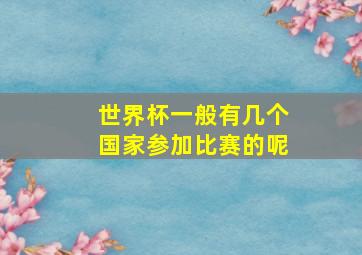 世界杯一般有几个国家参加比赛的呢