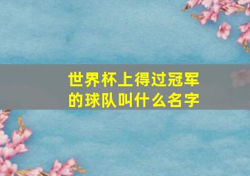 世界杯上得过冠军的球队叫什么名字