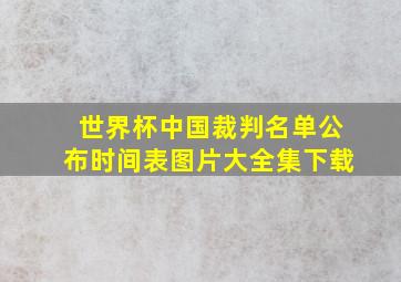 世界杯中国裁判名单公布时间表图片大全集下载