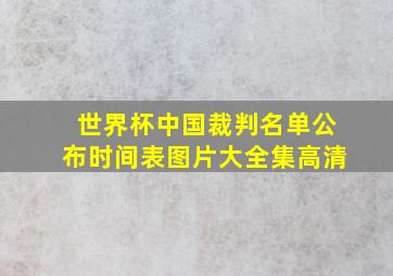 世界杯中国裁判名单公布时间表图片大全集高清