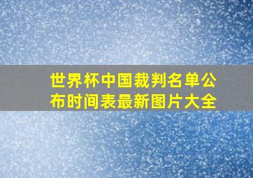 世界杯中国裁判名单公布时间表最新图片大全