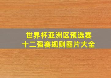 世界杯亚洲区预选赛十二强赛规则图片大全