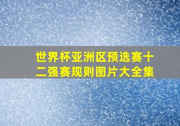 世界杯亚洲区预选赛十二强赛规则图片大全集