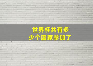 世界杯共有多少个国家参加了