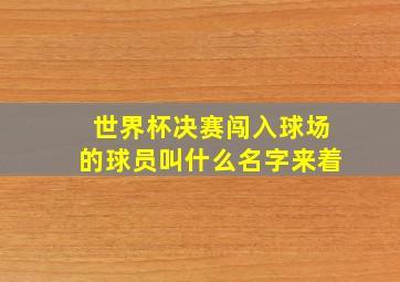 世界杯决赛闯入球场的球员叫什么名字来着