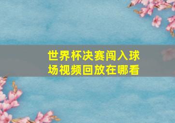 世界杯决赛闯入球场视频回放在哪看