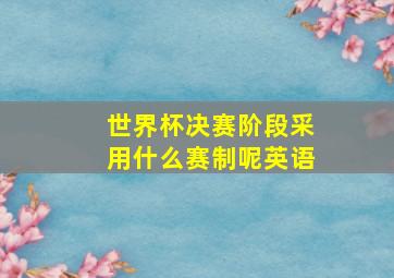 世界杯决赛阶段采用什么赛制呢英语