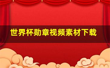 世界杯勋章视频素材下载