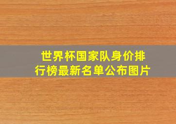 世界杯国家队身价排行榜最新名单公布图片