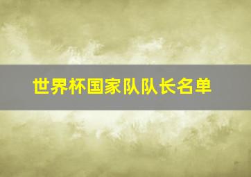 世界杯国家队队长名单