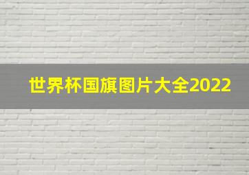 世界杯国旗图片大全2022