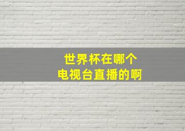 世界杯在哪个电视台直播的啊