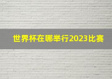 世界杯在哪举行2023比赛