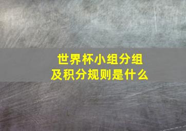 世界杯小组分组及积分规则是什么