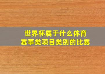 世界杯属于什么体育赛事类项目类别的比赛