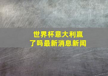 世界杯意大利赢了吗最新消息新闻