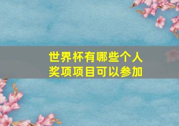 世界杯有哪些个人奖项项目可以参加