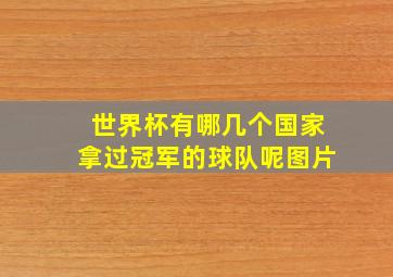 世界杯有哪几个国家拿过冠军的球队呢图片