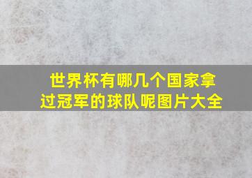 世界杯有哪几个国家拿过冠军的球队呢图片大全