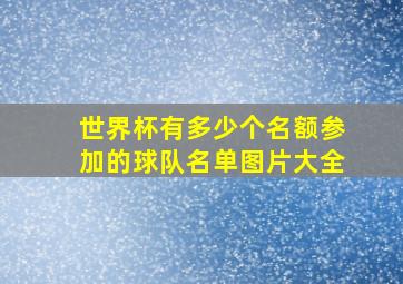 世界杯有多少个名额参加的球队名单图片大全