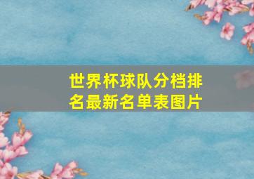 世界杯球队分档排名最新名单表图片