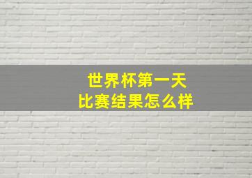 世界杯第一天比赛结果怎么样