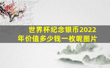 世界杯纪念银币2022年价值多少钱一枚呢图片