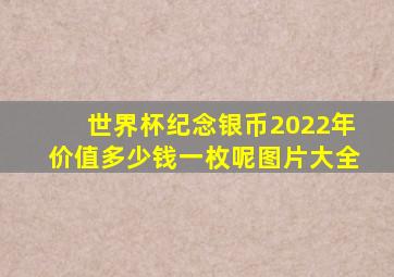 世界杯纪念银币2022年价值多少钱一枚呢图片大全