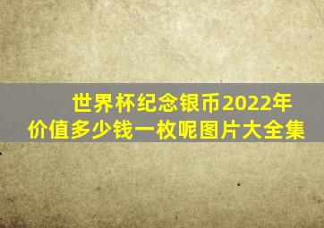 世界杯纪念银币2022年价值多少钱一枚呢图片大全集