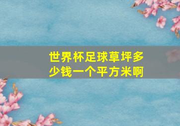 世界杯足球草坪多少钱一个平方米啊