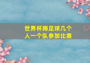 世界杯踢足球几个人一个队参加比赛