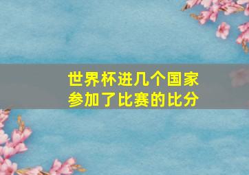 世界杯进几个国家参加了比赛的比分