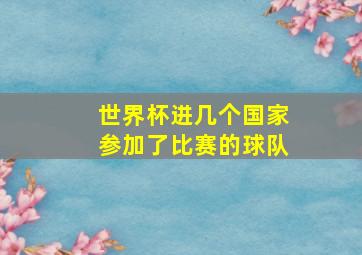 世界杯进几个国家参加了比赛的球队