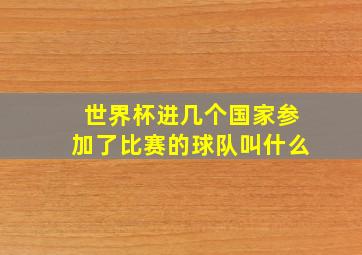 世界杯进几个国家参加了比赛的球队叫什么