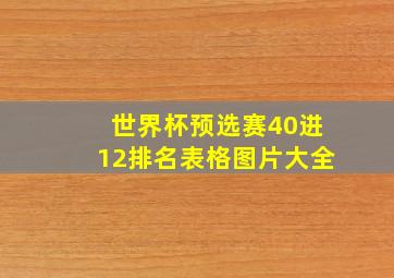 世界杯预选赛40进12排名表格图片大全