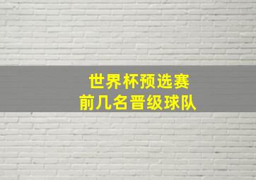 世界杯预选赛前几名晋级球队